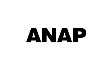 ANAP HOLDINGS